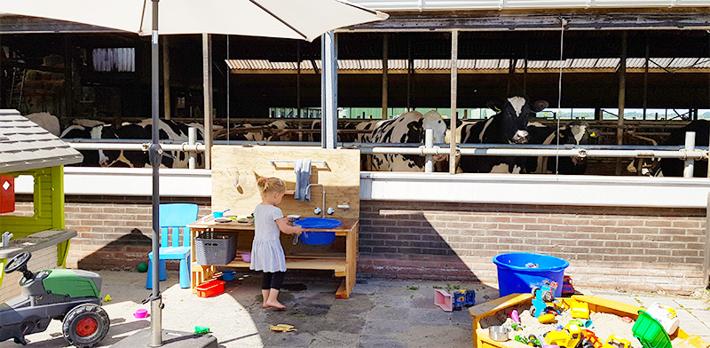 Buiten spelen koeien kinderopvang Dotje Den Horn