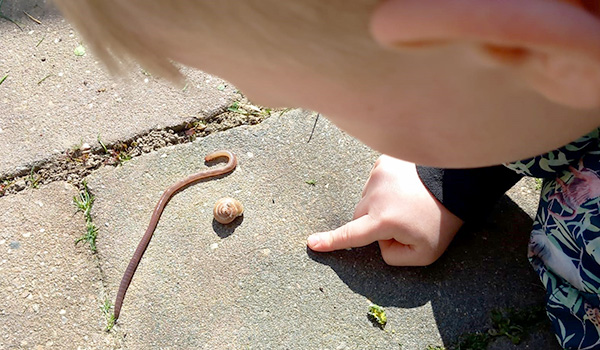 Workshop Natuur wormen pier slak